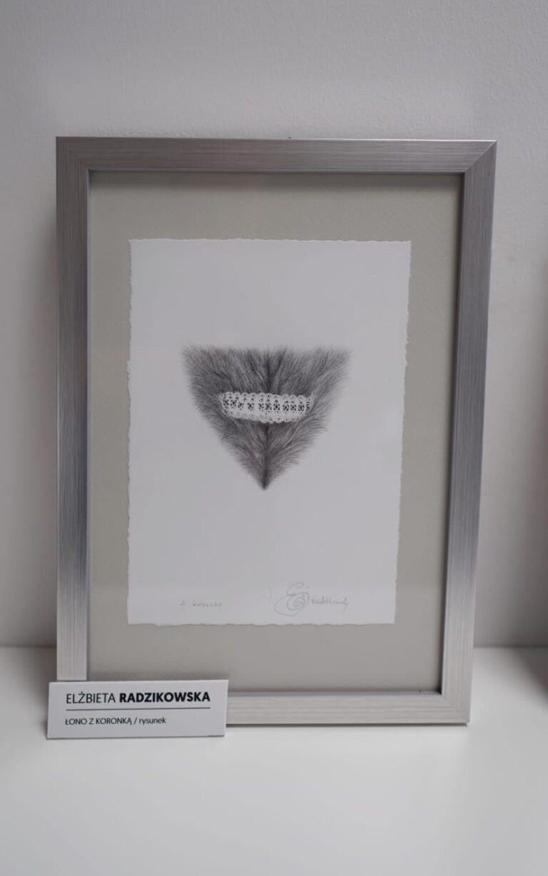 Łono z koronką (rysunek)