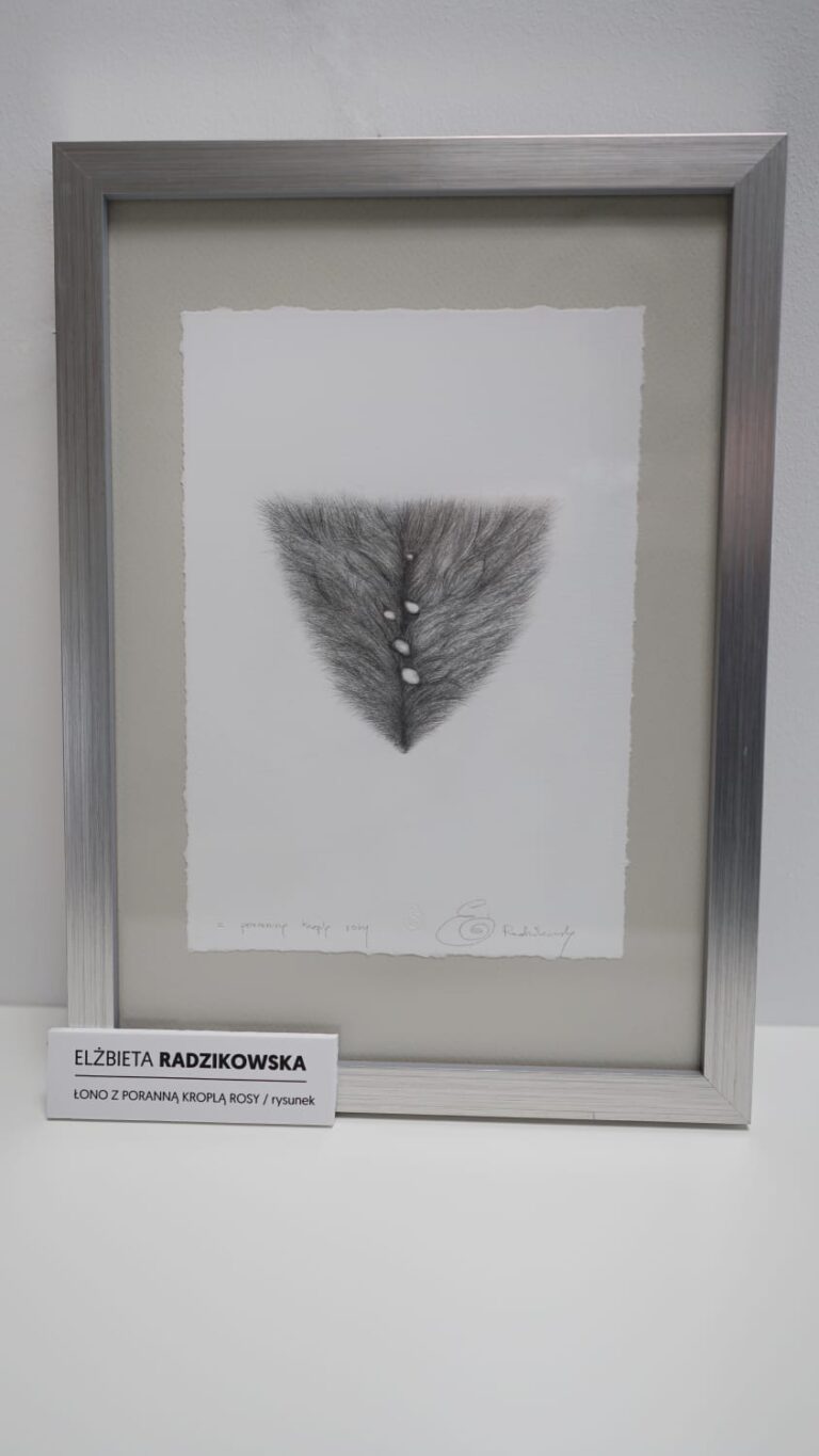 Łona z poranną kroplą rosy (rysunek)